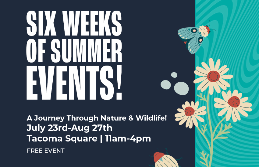 MQ-6WeeksofSummer-Web