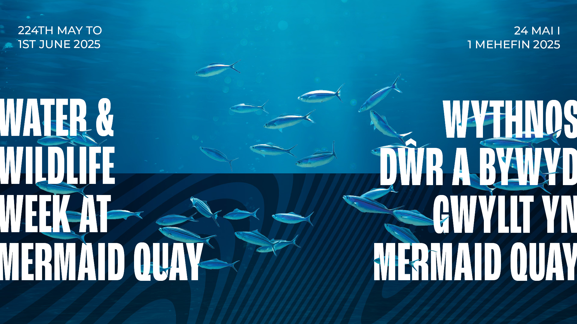 WWW_WebsiteBanner